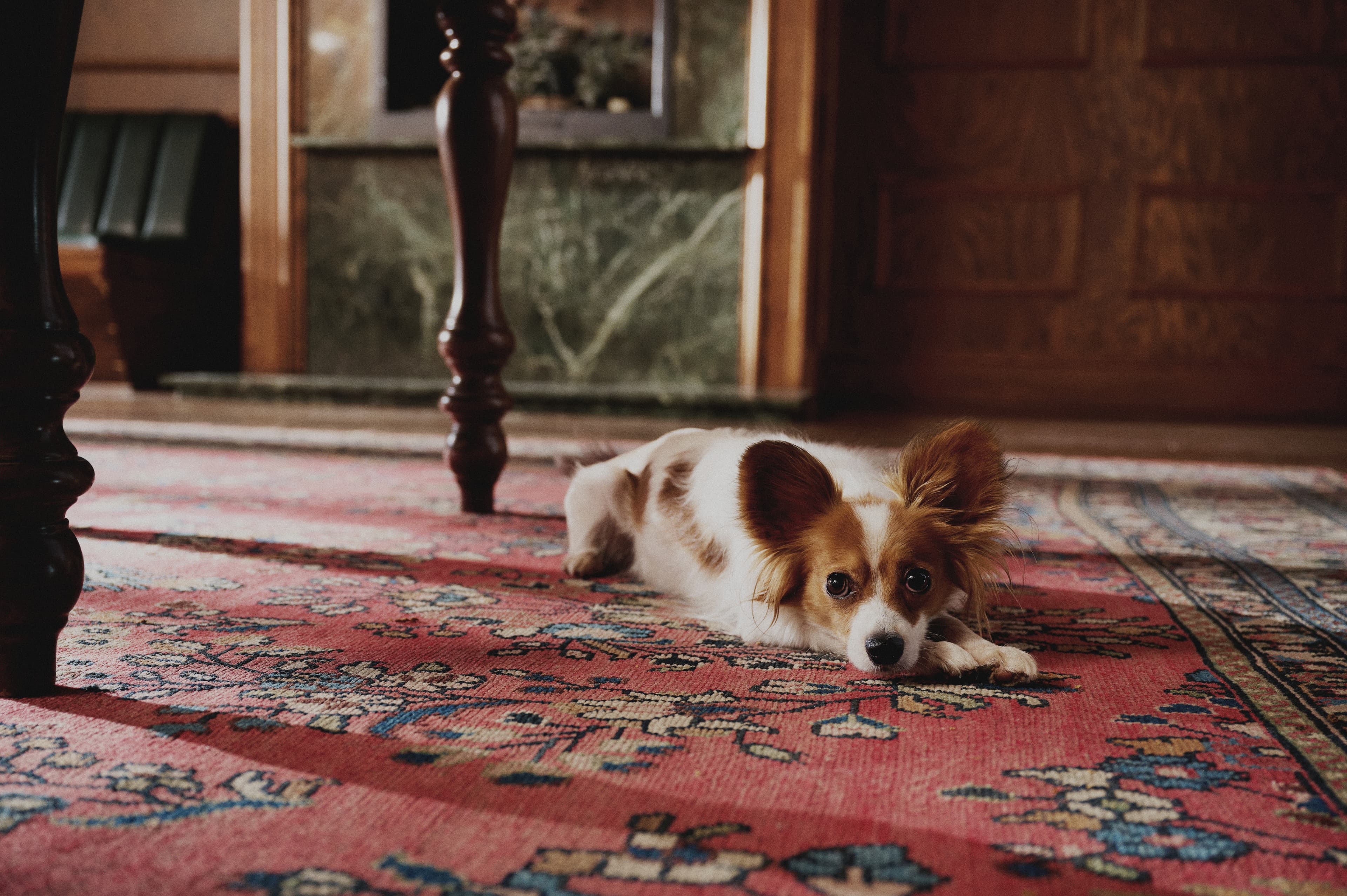 Decorative background image for Boston announcement section