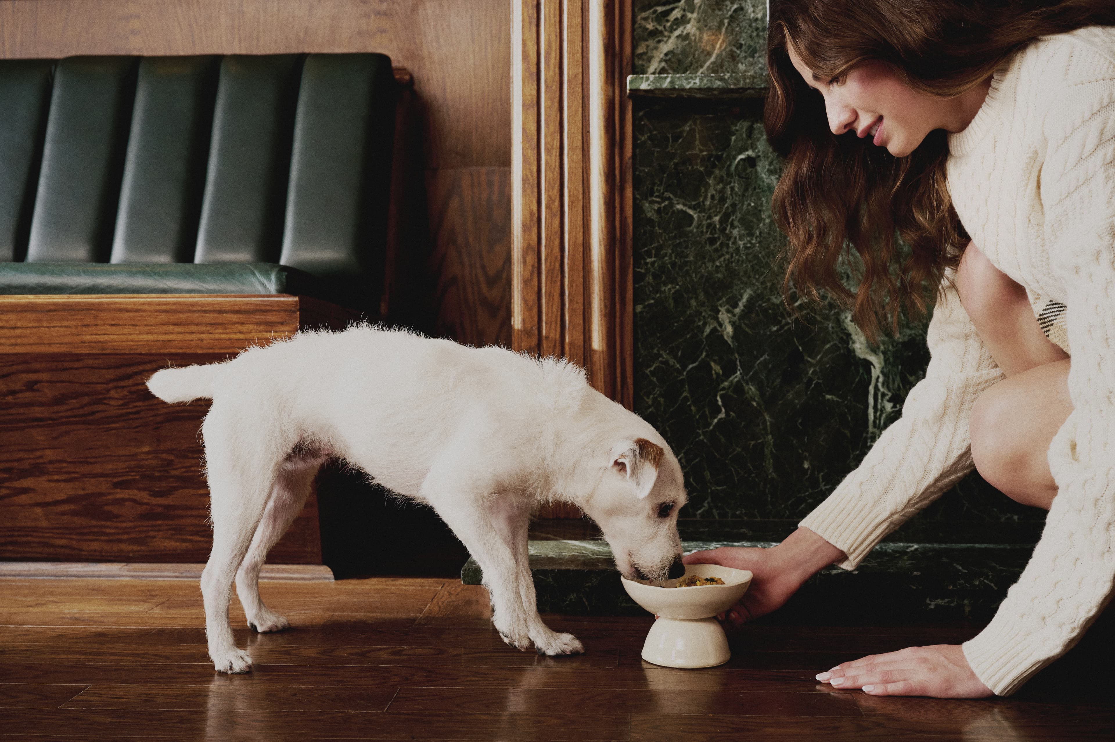 Golden meals background with fresh ingredients